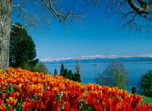 Insel Mainau Германия